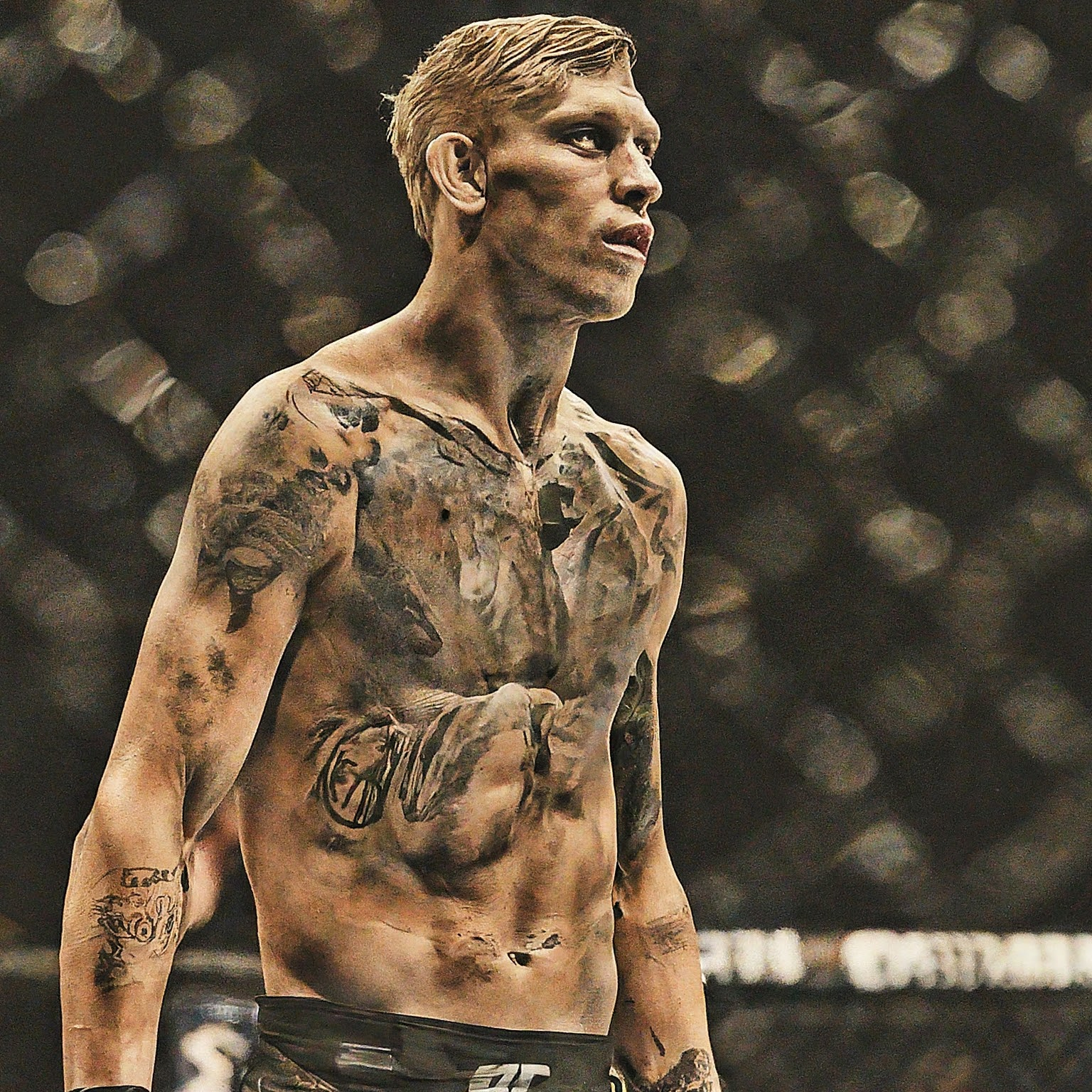 Alexander Gustafsson