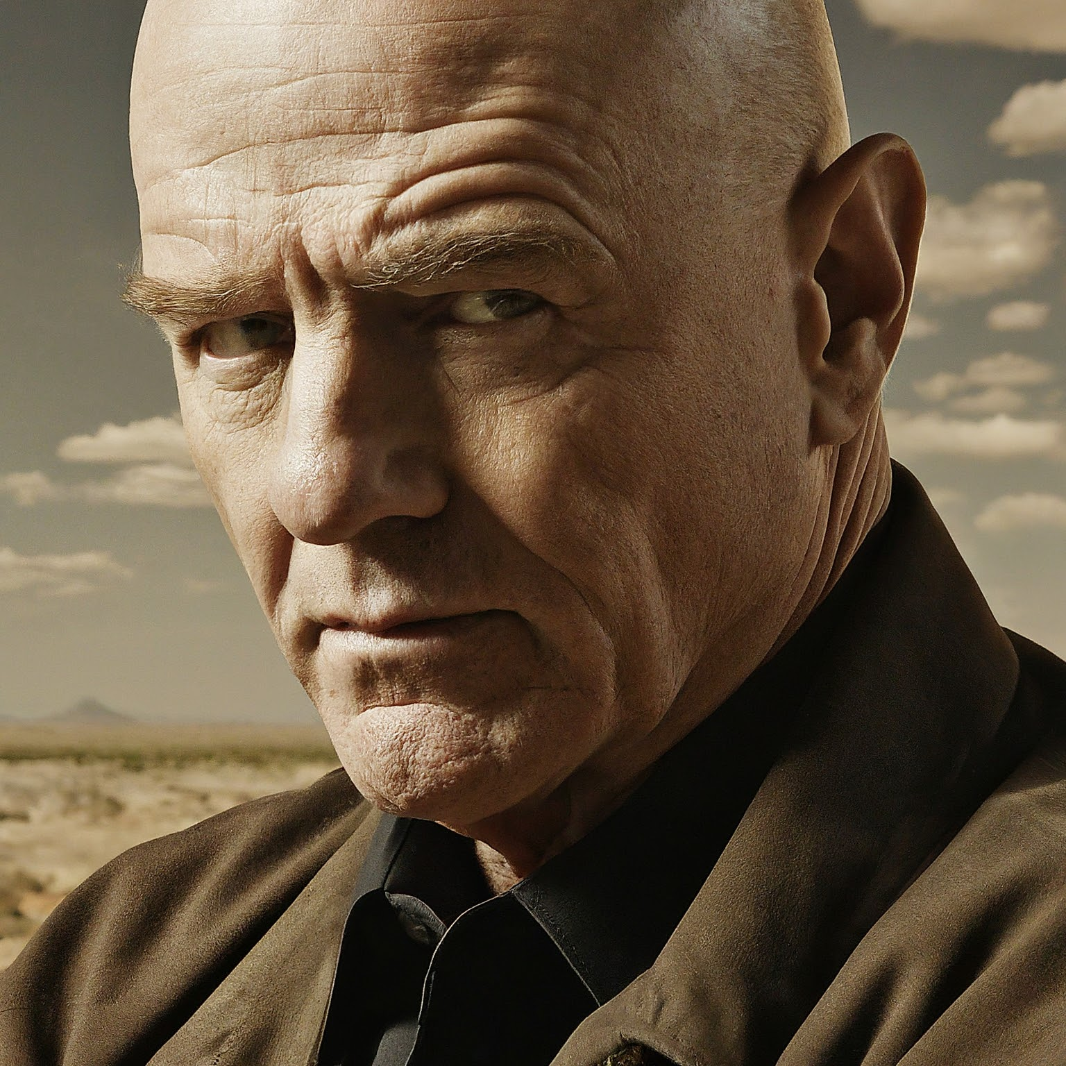 Hank Schrader