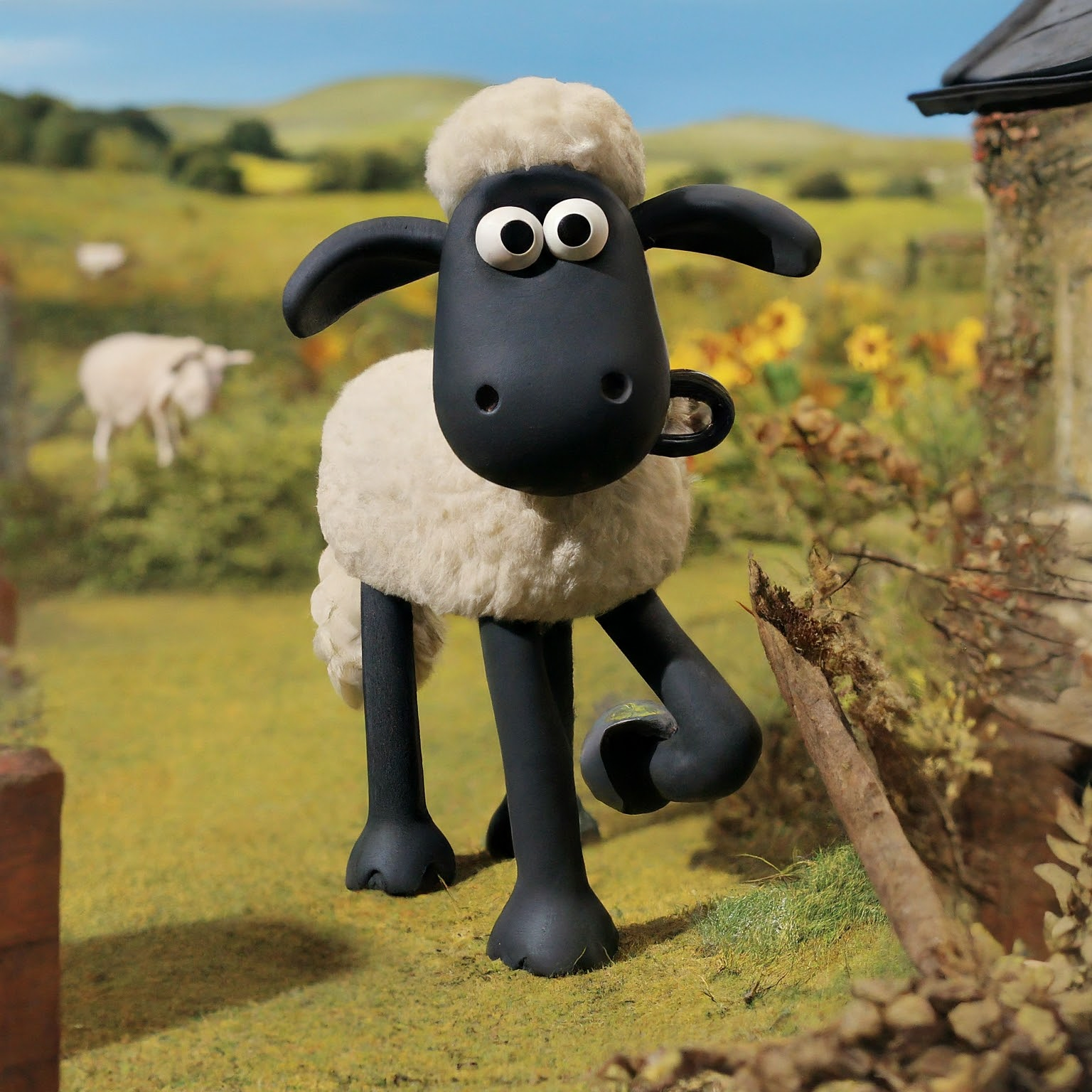 Shaun